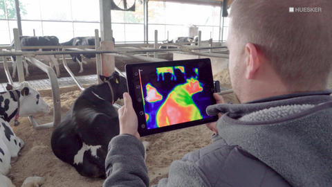 Video Thumbnail zum Stallklimacheck